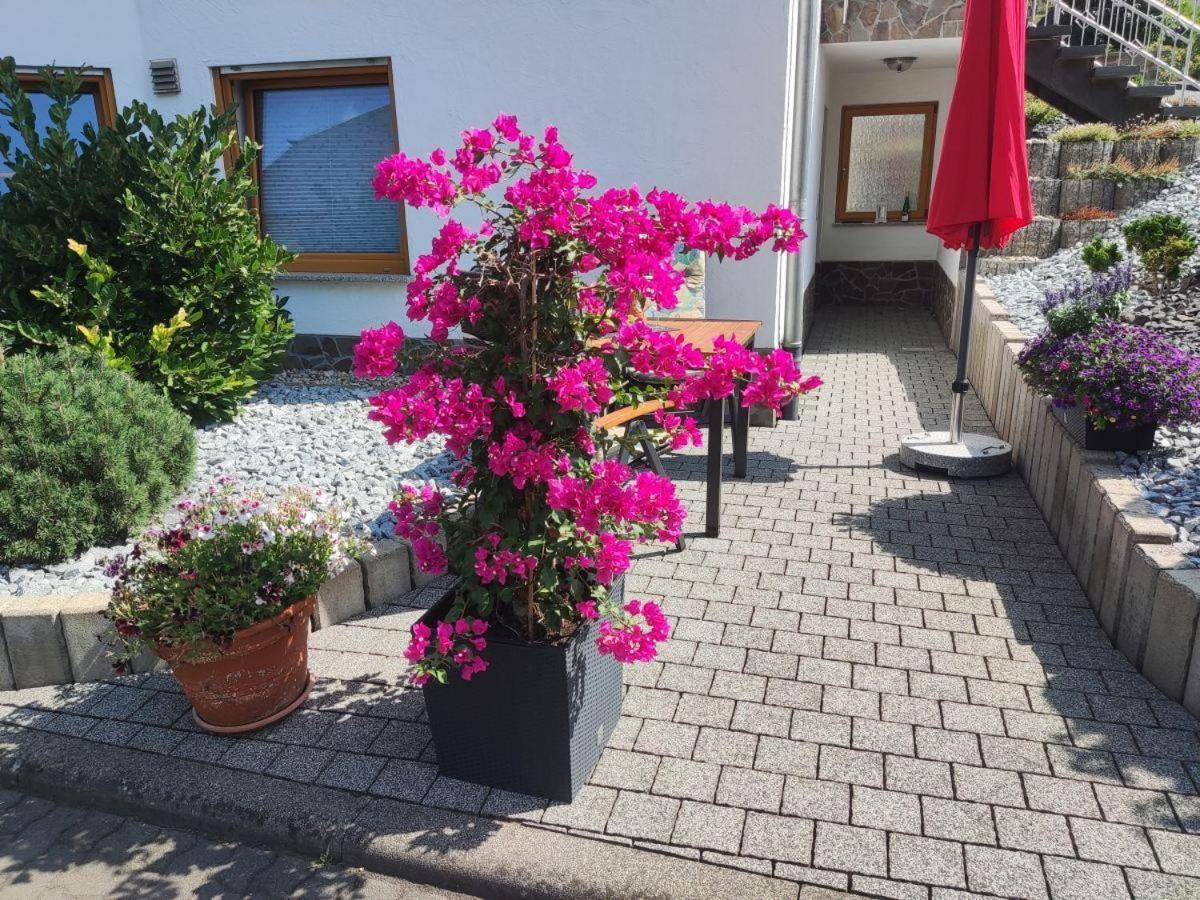 Ferienwohnung Moselzeit Alken Bagian luar foto